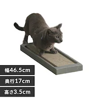 �L�̂߂Ƃ� �X�����^�C�v NTST-1P �u���E��