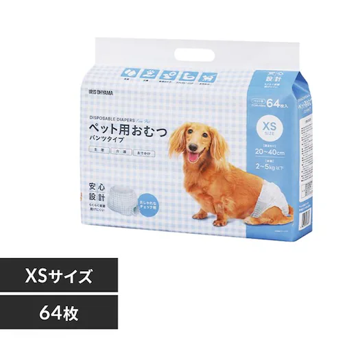 ybgpނ XSTCY_0