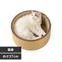 `[t܂Ƃ {E^Cv P-MTB-42 i`