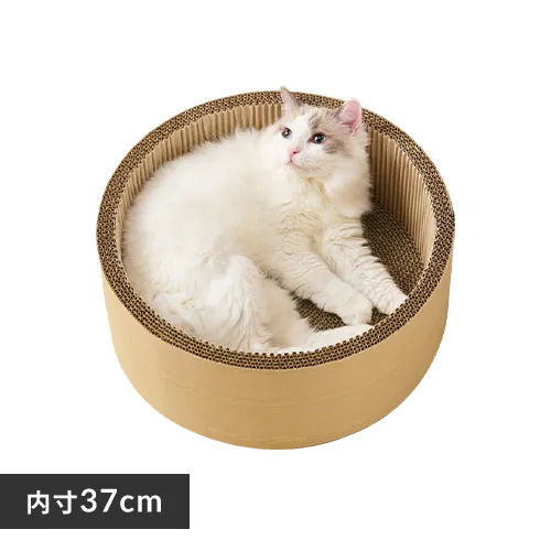 �ǉ����i�T���l�C��
