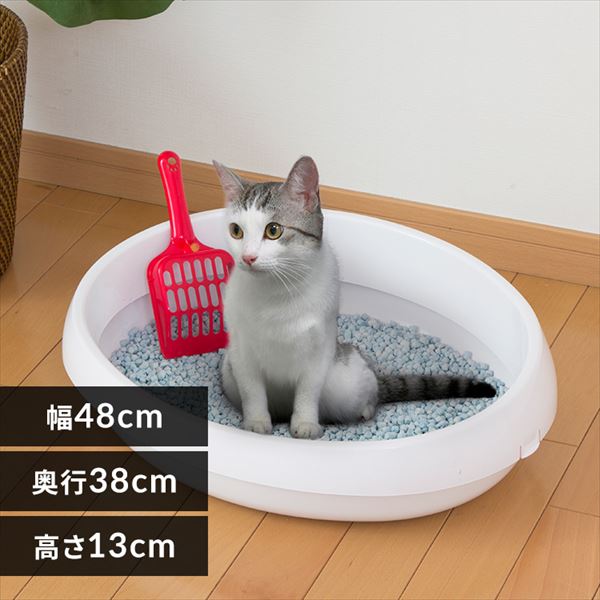 �ǉ����i�T���l�C��