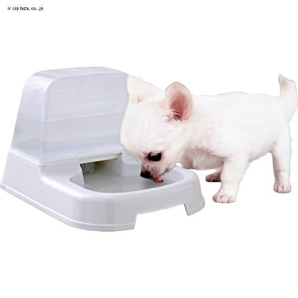 待望 Jetzscrubzペットディッシュとボウルscrubberスポンジ 犬by Jetzscrubz Lagrangechurrascaria Com Mx