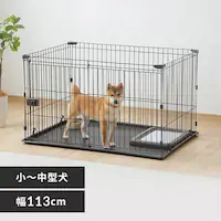 VXeT[N STS-1200T }bguE