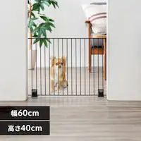 ybgtFX P-SPF-64 }bguE ybgQ[g