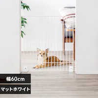 ybgtFX P-SPF-66 }bgzCg ybgQ[g