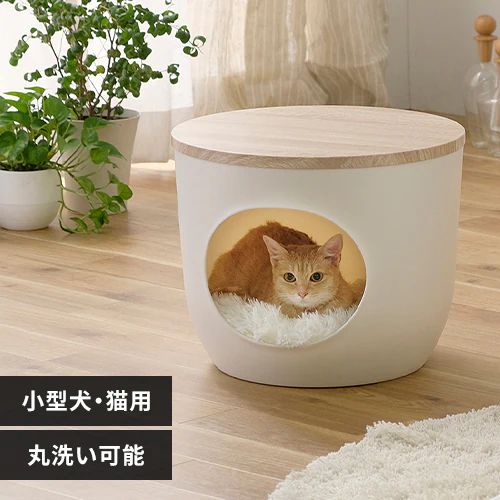 �ǉ����i�T���l�C��