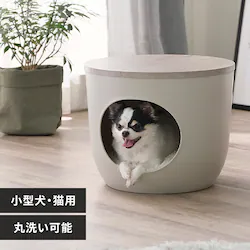 CeAybgnEX IPH-424 AbVO[