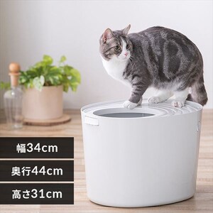 �ォ��L�g�C�� �v�`