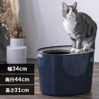 ォLgC v` PUNT-430 lCr[ 