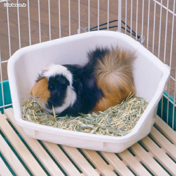 �ǉ����i�T���l�C��