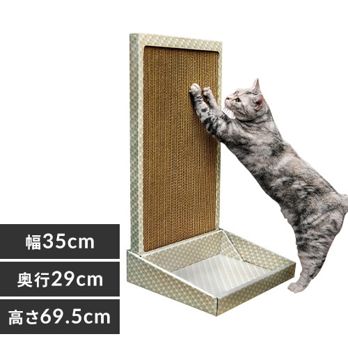 猫を飼い始める前に知っておきたい4つのこと アイリスプラザ メディア