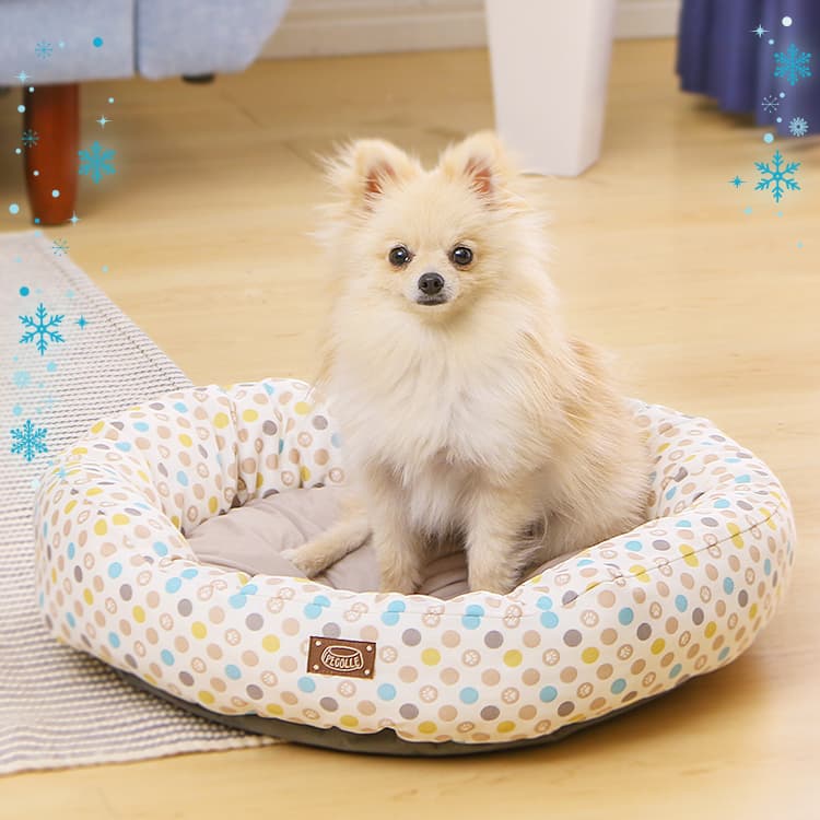 失敗しない犬用ペットベッドの選び方のコツ アイリスプラザ メディア