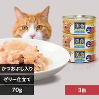 Hj[ci{d Ԃ[[dā CB-70KJ~3i70g~3Zbgj L t[h