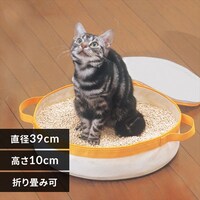 ���ł����L�g�C�� OCT-390 �C�G���[�@