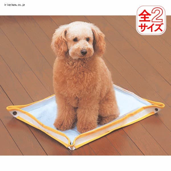 車で出かけよう 愛犬とのお出かけのコツ アイリスプラザ メディア