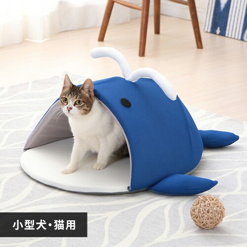 ���݌Ɍ���C�`�I�V���i�I���y�b�g�p�N�[���x�b�h PCB19K������_0