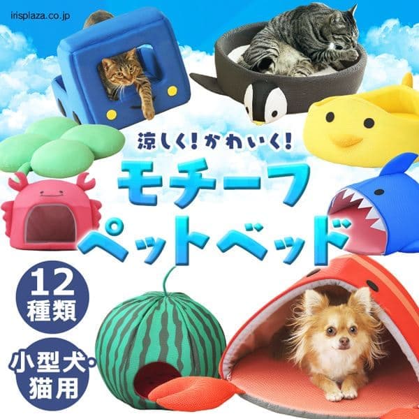 ���`�[�t�y�b�g�x�b�h ���b�R 