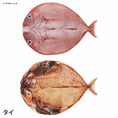 Ăp 肮 ^C Ѓ}qT AhCg ^C _1