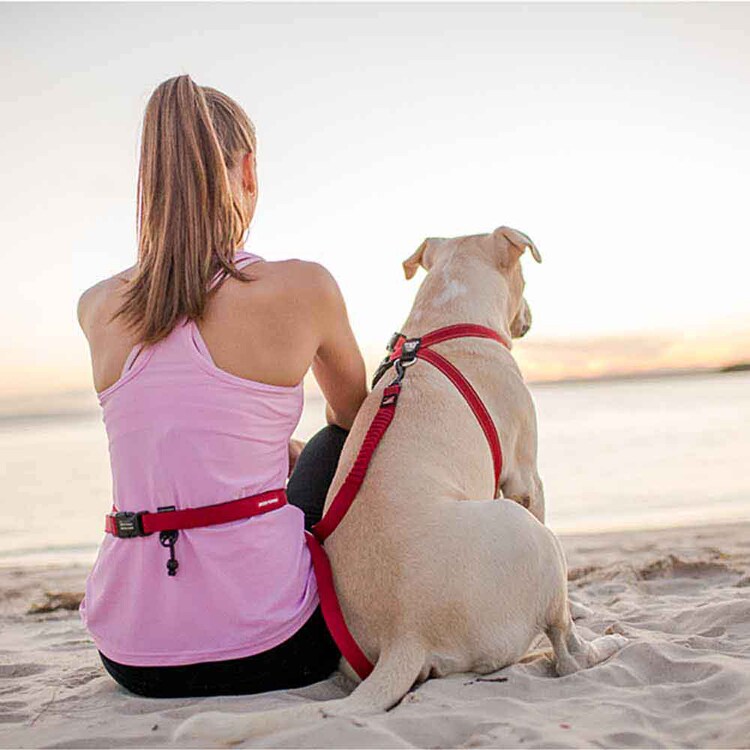 EZYDOG リード ロードランナー 【プラザセレクト】