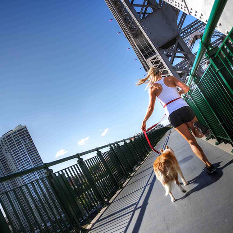 EZYDOG リード ロードランナー 【プラザセレクト】