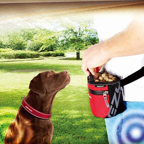 p[h  XibNpbN bh EZYDOG C[W[hbO_1