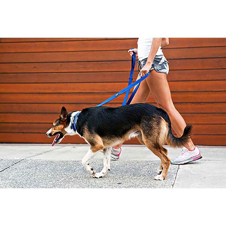 EZYDOG リード ヴァリオ4 【プラザセレクト】