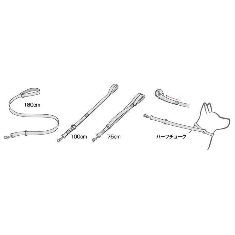 EZYDOG リード ヴァリオ4 【プラザセレクト】