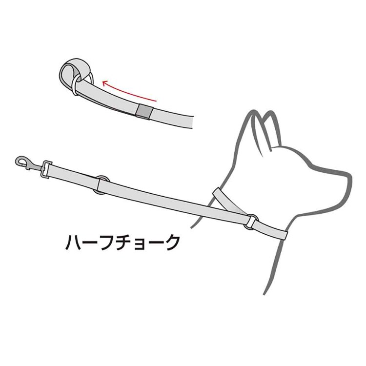 EZYDOG リード ヴァリオ4 【プラザセレクト】