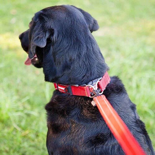 p  _ubNJ[ S bh EZYDOG C[W[hbO_1