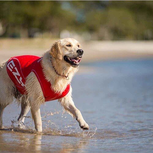  bVK[h  hbObVK[h XS bh EZYDOG C[W[hbO_1