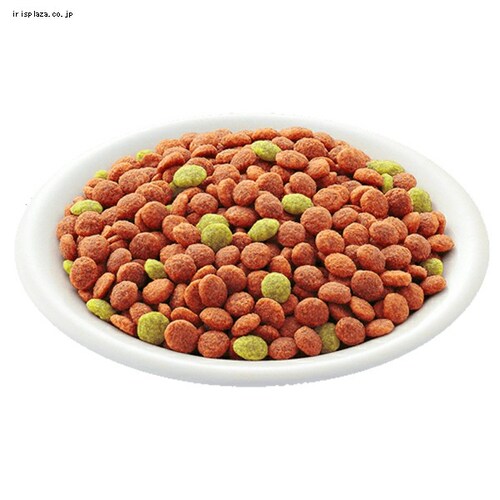 y6Zbgz JJhC AȞNێp 1.6kg_1