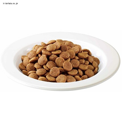 y2܃ZbgzACX LChALbg`L5Kg _1