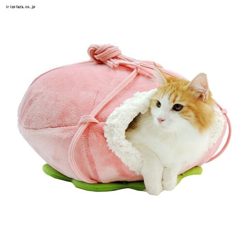 ペッツルート ニャンともハンモックの実 きいちご _1