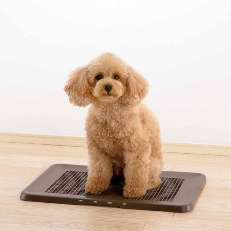 リッチェル お掃除簡単フラットトレー レギュラー