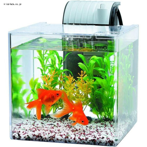 テトラ 金魚飼育セット SF-17GF 7253902│アイリスオーヤマ公式通販
