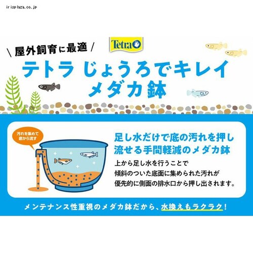傤ŃLC_J40_1
