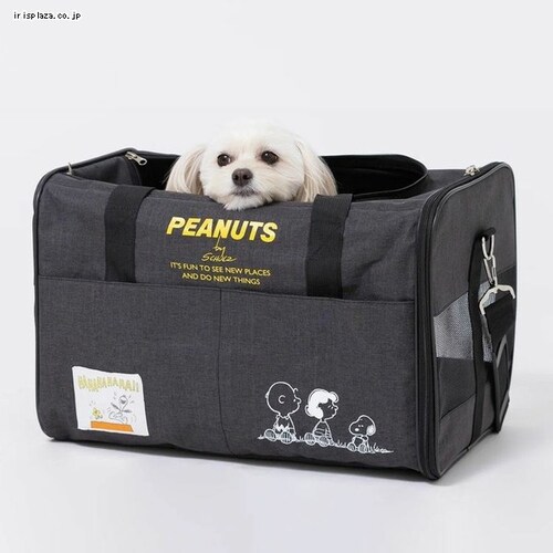 SNOOPY ^NL[ M SN223-011-005 ubN_1