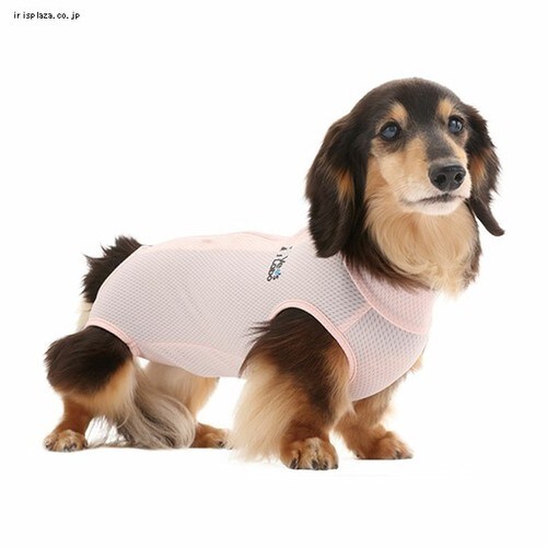 ���p �x�b�c�E�F�A ���̎q�p �s���N 2XL _1