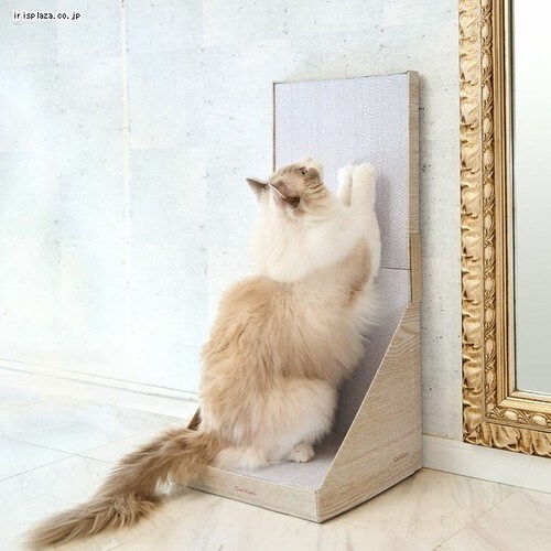 KKXC[g EH[ O[W ܂Ƃ_1