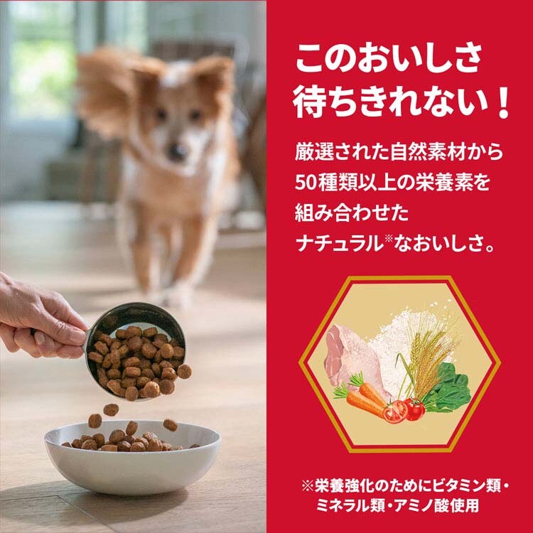 ヒルズ サイエンス・ダイエット〈プロ〉小型犬用 シニアトータルケア機能 超小粒 7歳以上 3kg 【プラザセレクト】