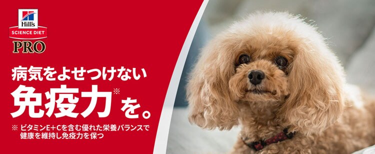 ヒルズ 【2個セット】サイエンス・ダイエット〈プロ〉小型犬用 シニアトータルケア機能 超小粒 7歳以上 3kg 【プラザセレクト】