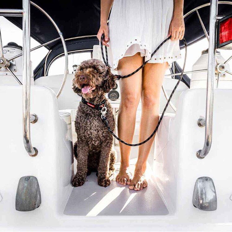 EZYDOG マリンリード 9mm 【プラザセレクト】