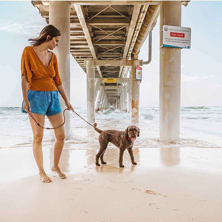 EZYDOG マリンリード 9mm 【プラザセレクト】