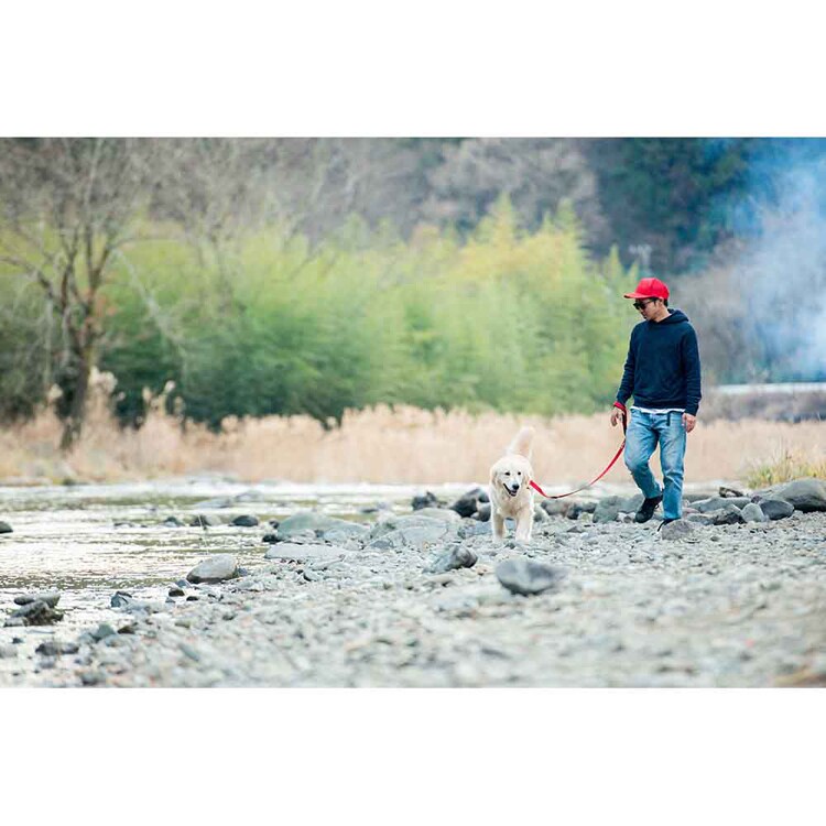 EZYDOG リード ソフトトレーナー 120cm 【プラザセレクト】