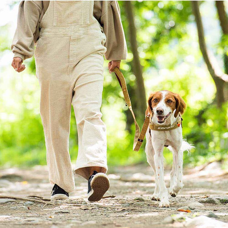 EZYDOG リード ソフトトレーナー 120cm コーデュロイ 【プラザセレクト】