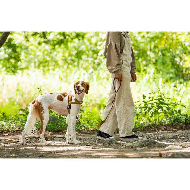 EZYDOG リード ソフトトレーナー 120cm コーデュロイ 【プラザセレクト】