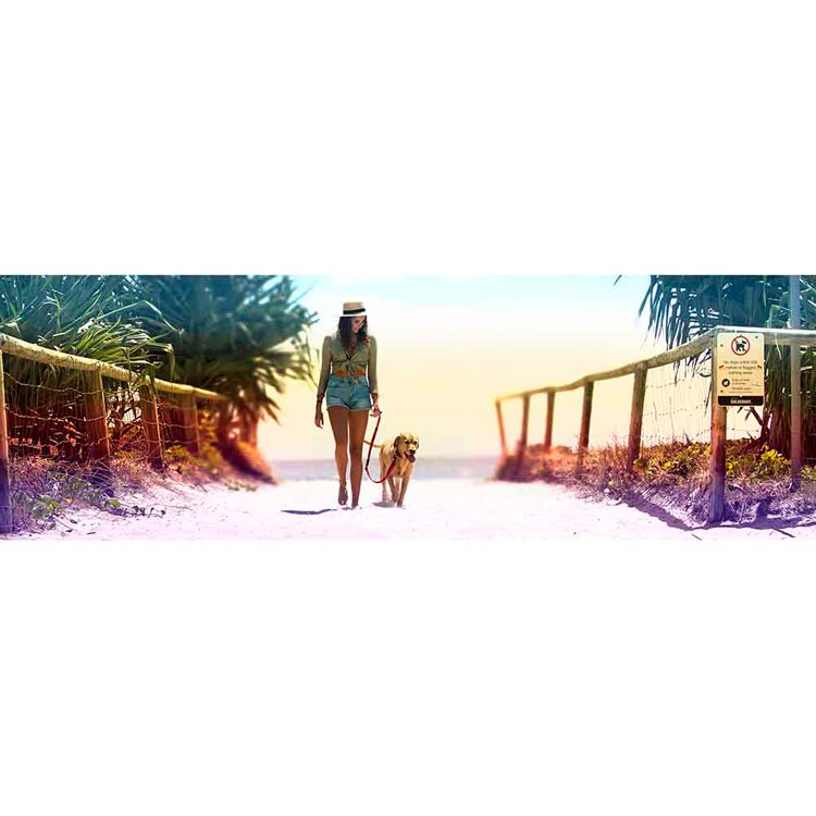 EZYDOG リード ハンディゼロショックリード 【プラザセレクト】