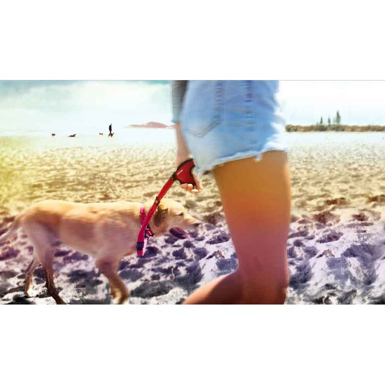 EZYDOG リード ハンディゼロショックリード 【プラザセレクト】