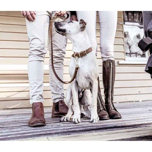 ���p ��� ���U�[�J���[ XXS �u���b�N EZYDOG �C�[�W�[�h�b�O_1