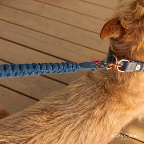 p [h [VbNCg 120cm fj EZYDOG C[W[hbO_1